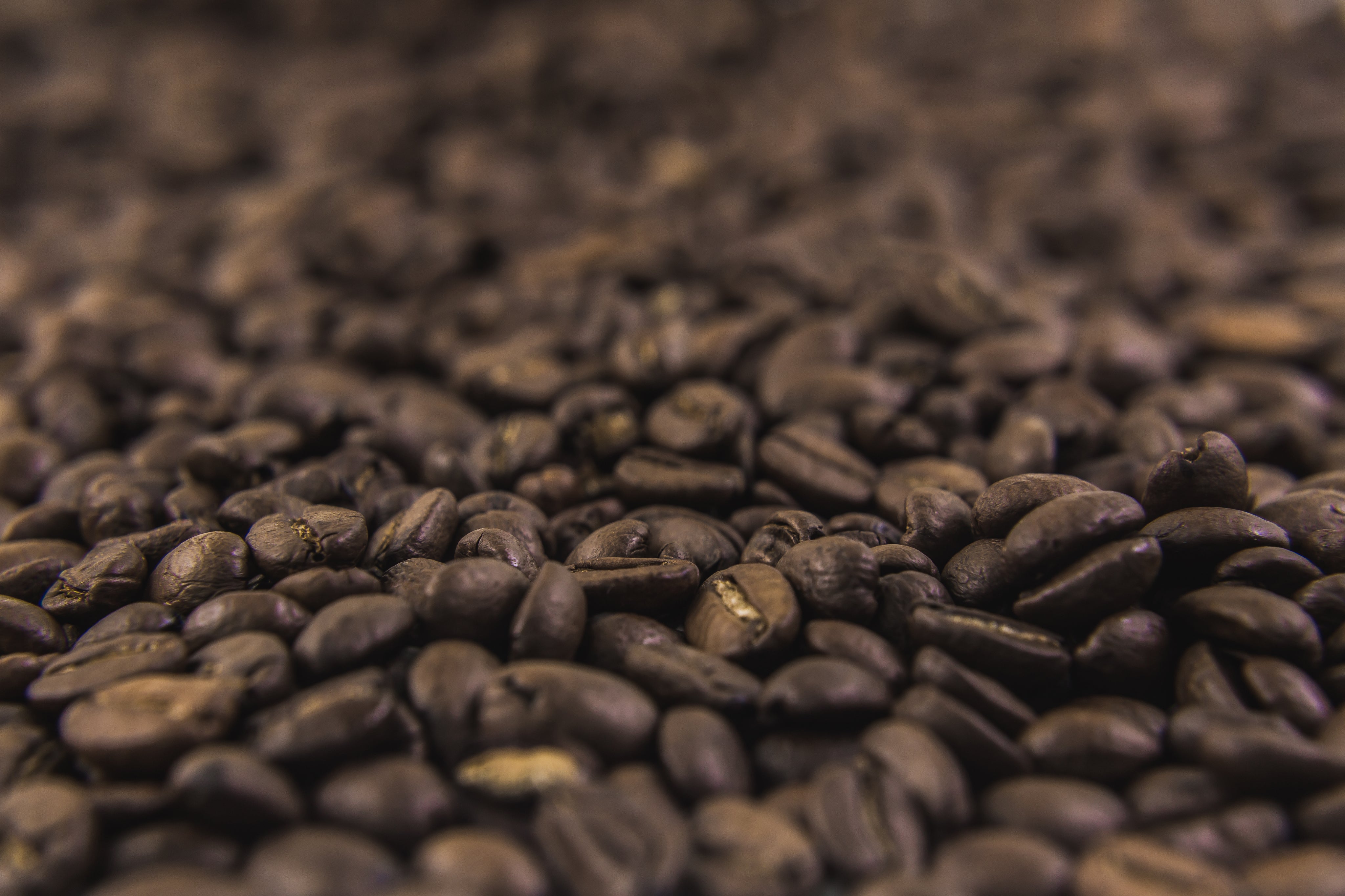 coffee-beans-texture.jpg