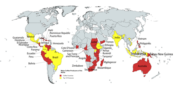 The Difference Between Single Origin Coffee and Coffee Blends